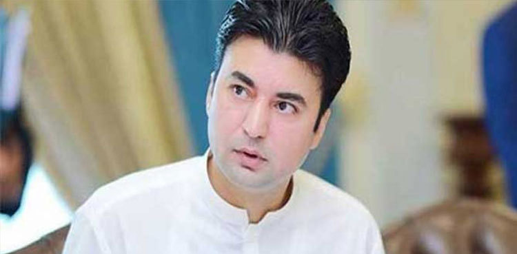 Arshad Sharif’s murder: Murad Saeed appears before JIT