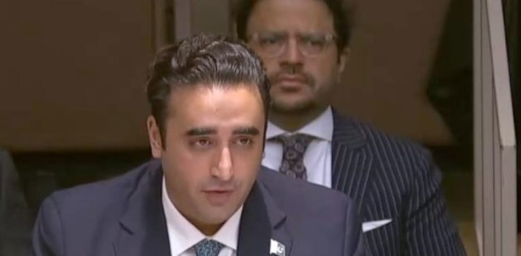 FM Bilawal calls for equity in international economic relations