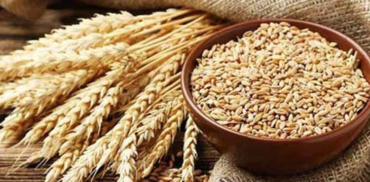 PM Sharif directs to take steps to enhance wheat’s production