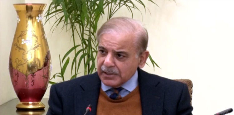 PM Shehbaz reaffirms commitment to eradicate polio from Pakistan