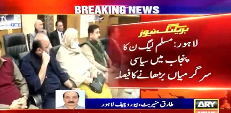 PML-N decides to intensify political activities in Punjab