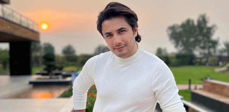 Don't find physics in my songs, Ali Zafar says over viral video