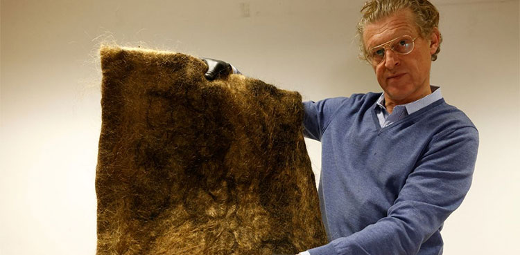 Human hair recycled to protect the environment
