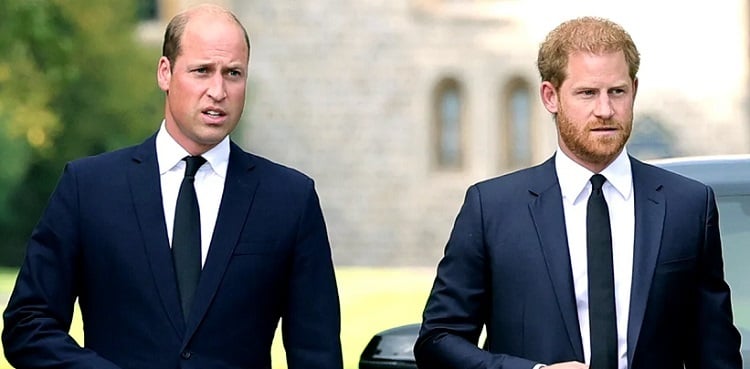 Prince Harry accuses William of screaming at him during summit