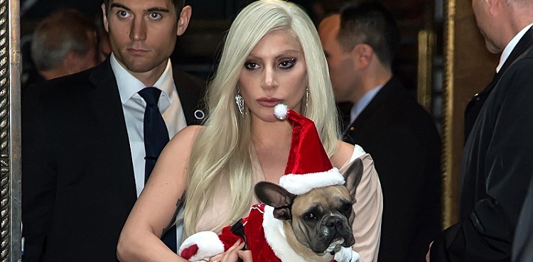 Shooter involved in Lady Gaga dog-napping sentenced to 21 years in jail