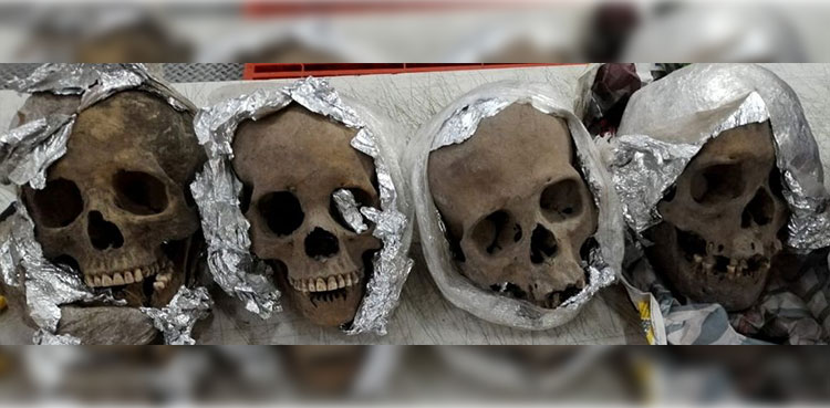 Human skulls recovered from package headed to US