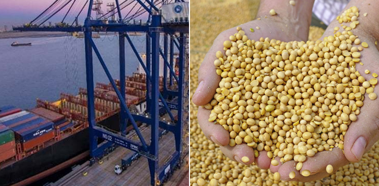 FTO orders ‘one-time’ clearance to vessels carrying soybean shipments