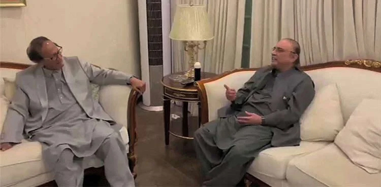Chaudhry Shujaat meets Asif Ali Zardari