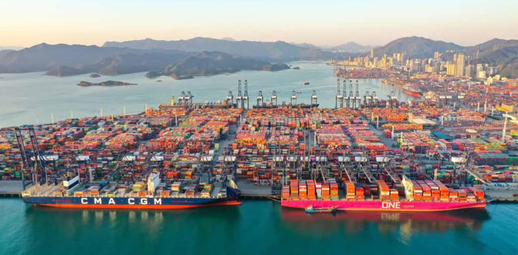 China imports, exports plunge in December: customs