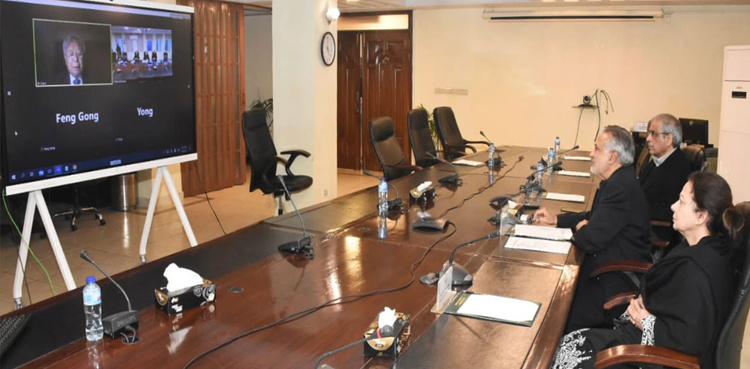 AIIB president holds virtual meeting with Ishaq Dar