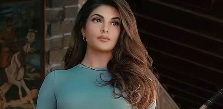 Jacqueline Fernandez approaches court for travel permit