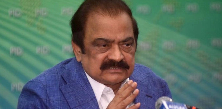 Nawaz Sharif to lead PML-N’s election campaign: Rana Sanaullah