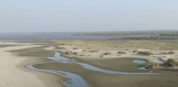 SHC dismisses islands case as ordinance comes to an end