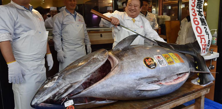 Russia mulls joining China in banning Japan seafood
