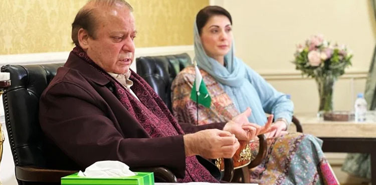 Nawaz Sharif directs PML-N leaders to gear up for Punjab elections