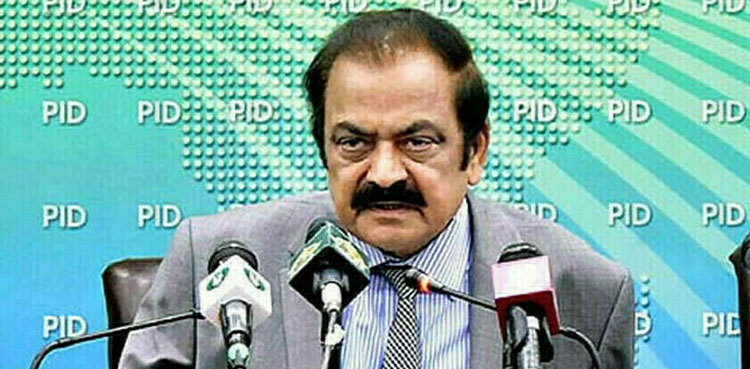 Rana Sanaullah rubbishes reports of differences in PML-N ranks