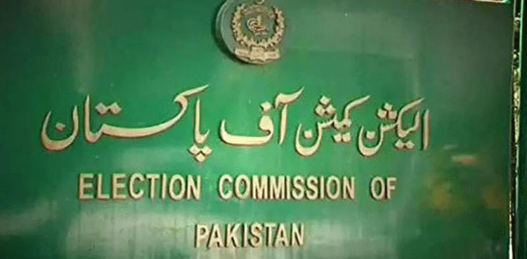 'Karachi will have to wait for months for its mayor'