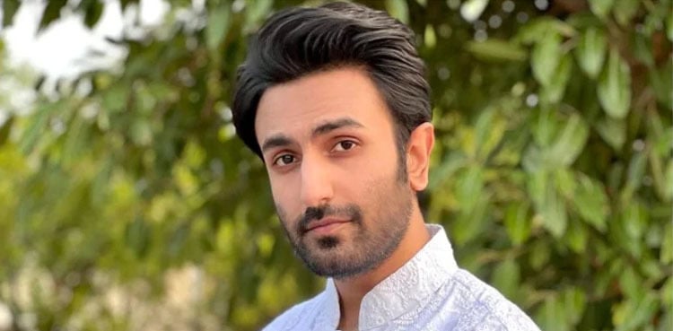 Hammad Shoaib joins viral dance trend of SRK's 'Jhoome jo Pathaan'