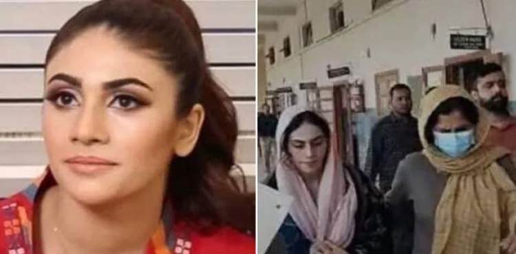 Leaked video case: Dania Shah challenges her arrest in SHC