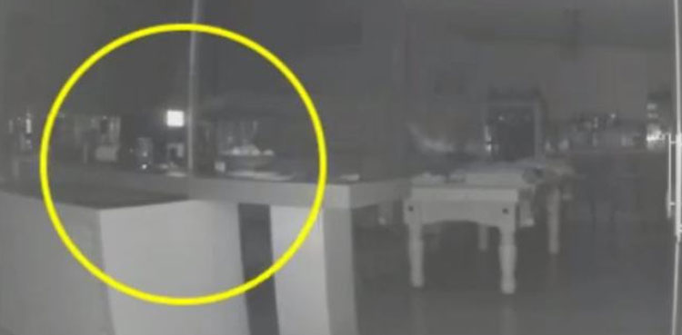 'Ghost of family member' walks dog, eerie video goes viral
