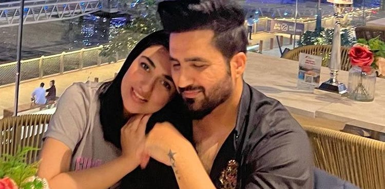 Sarah Khan rejected Falak Shabir's music video; here's why