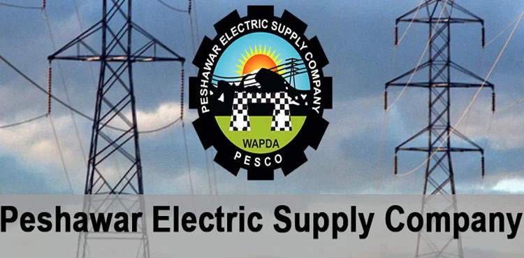 PM Shehbaz Sharif approves bifurcation of PESCO