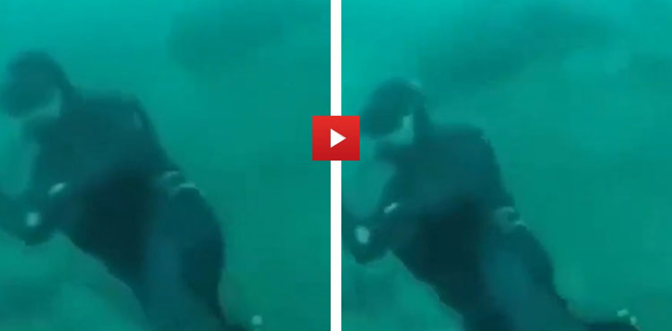 Diver almost gets eaten by shark, watch viral video