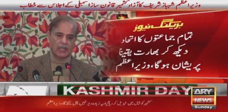 PM Shehbaz Sharif for unity to infuse vigour, strength to Kashmir cause