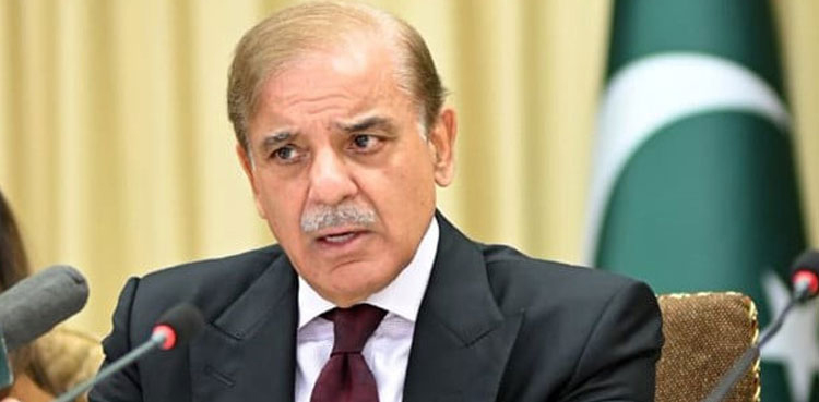 PM Shehbaz Sharif calls for measures to tackle power shortage in summer