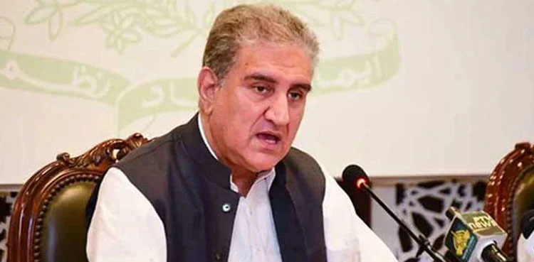 Govt to make Rs50 hike in petrol price: Shah Mahmood Qureshi