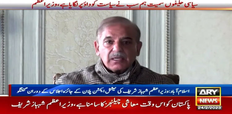 Political stability imperative for economic growth: PM Shehbaz