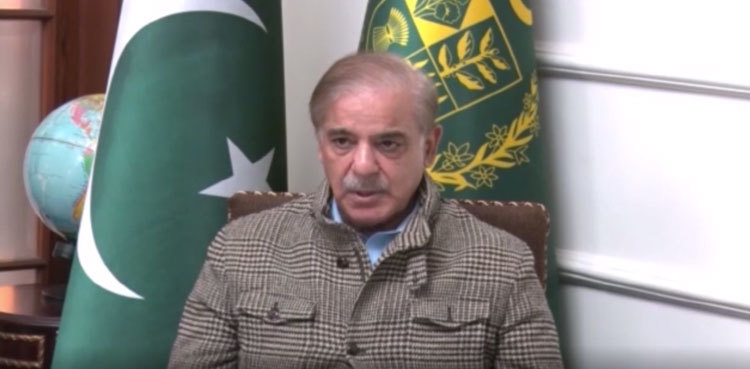 PM Shehbaz directs speedy completion of wind, solar energy projects