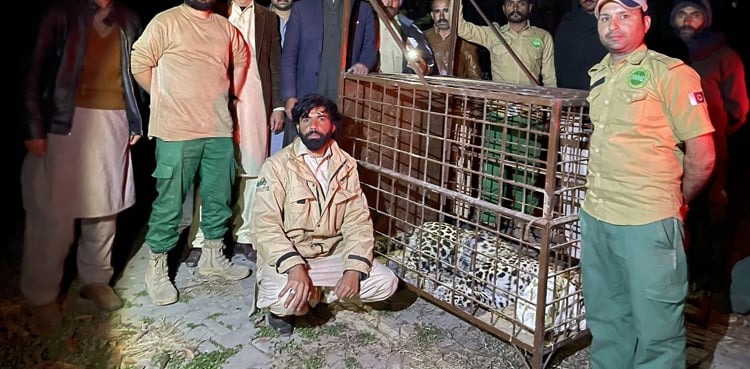 Leopard attack: Islamabad police register case against 'unidentified owner'