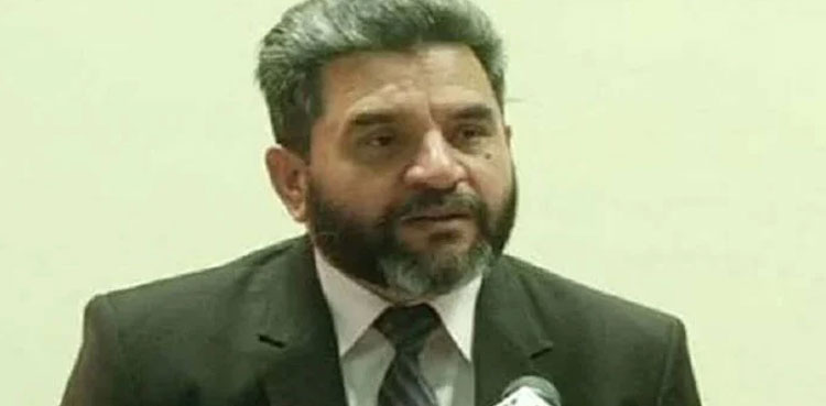 Zahir Shah appointed acting NAB chairman