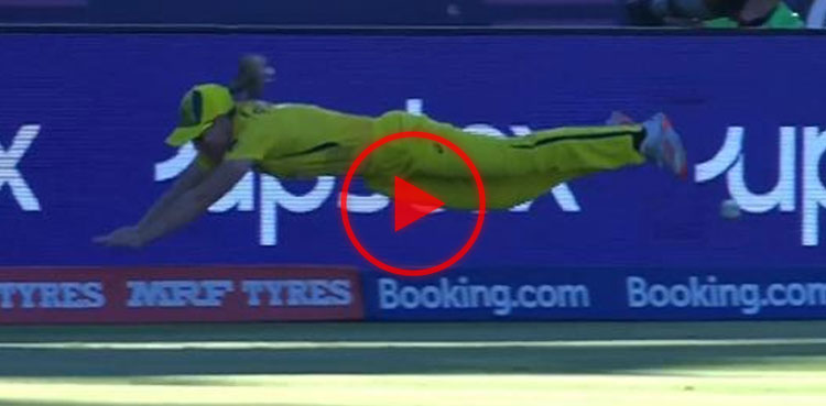 WATCH: Ellyse Perry saves boundary with amazing fielding in Women's T20 World Cup