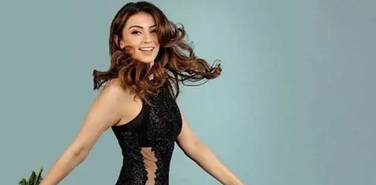 Hansika Motwani responds after being termed 'homewrecker'