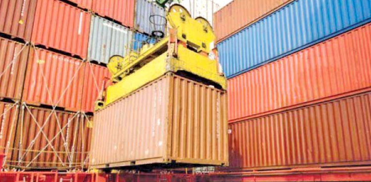 Budget 2024-25: Regulatory duty increased on THESE imported items