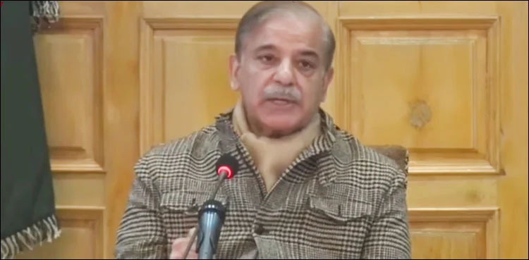 PM Shehbaz Sharif calls for unity in fight against terrorism