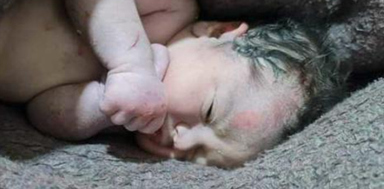 Video: Syria newborn pulled alive from quake rubble