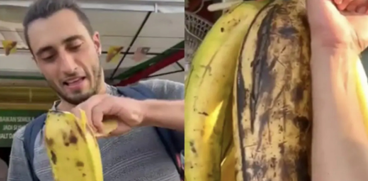 WATCH: World's largest banana species that weighs more than 3 KG