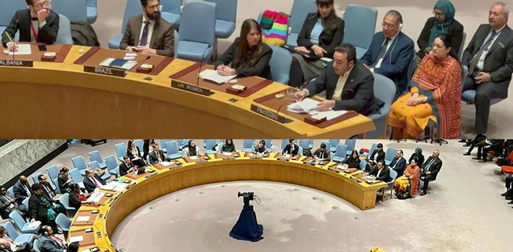 FM Bilawal calls for monitoring crimes against women