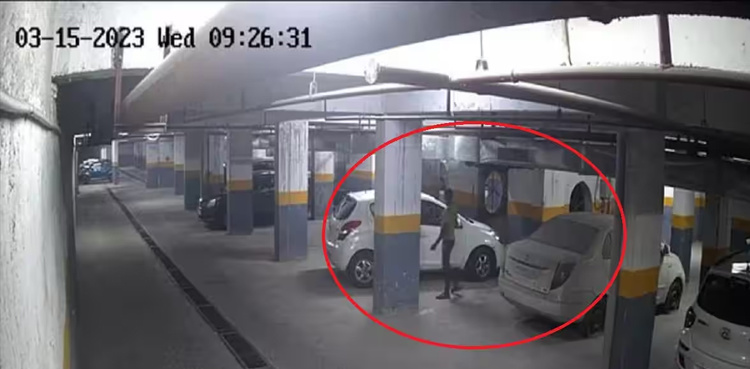 Video: Man pours acid on multiple vehicles after being fired from job