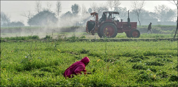 IMF terms: Govt jacks up power tariff for agricultural sector