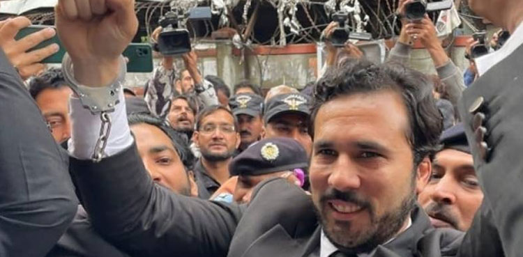 Hassaan Niazi handed over to Karachi police