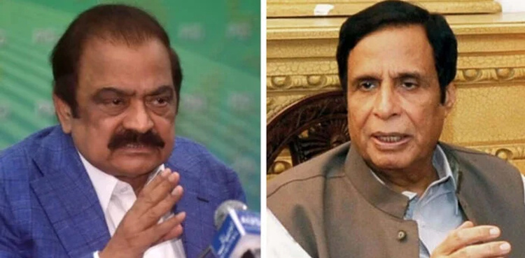 Pervaiz Elahi says 'Rana Sanaullah should undergo mental examination'