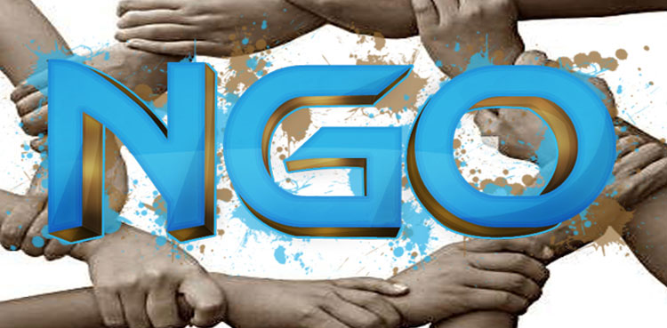 What are NGOs?