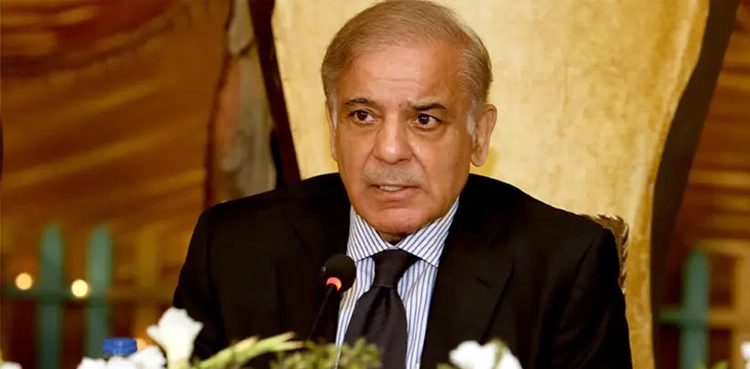 PM Shehbaz says ‘conspiracy underway to increase political instability’