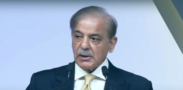 AC extends interim bail of PM Shehbaz Sharif’s son-in-law