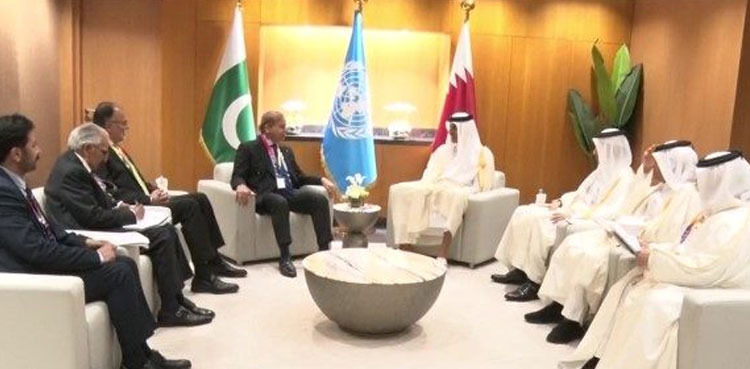 PM Shehbaz, Qatar Amir discuss bilateral issues, economic opportunities