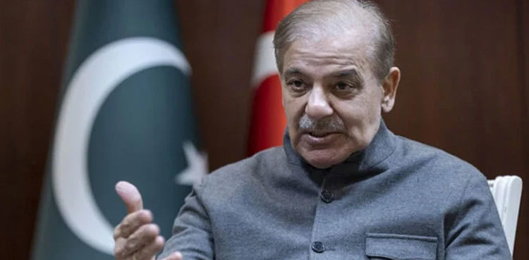 Imran Khan creating hurdles in revival of IMF programme: PM